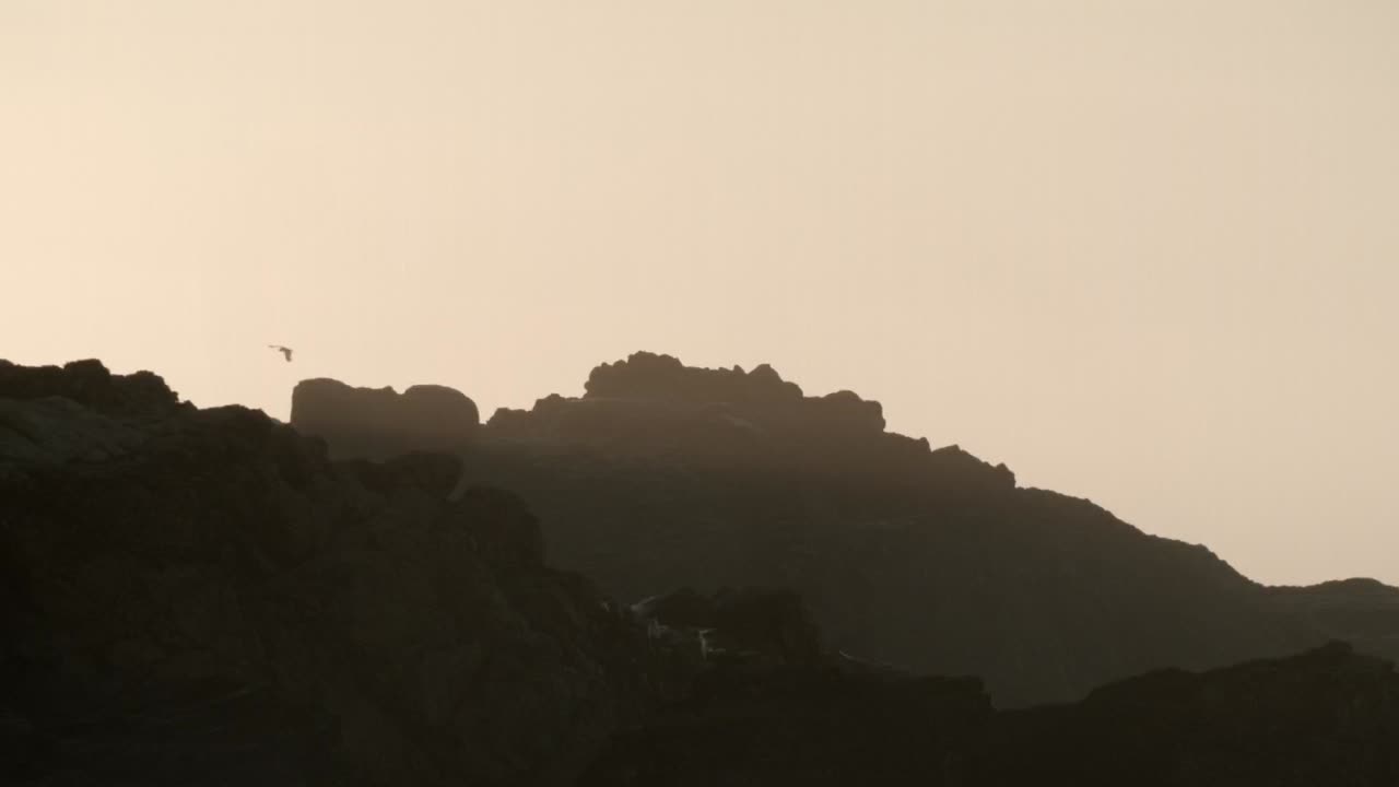 바위 가 있는 해안 에서 날아다니는 메일 과 새 들, 물결 이 스프레이싱 하는 것, 해 가 지는 하늘