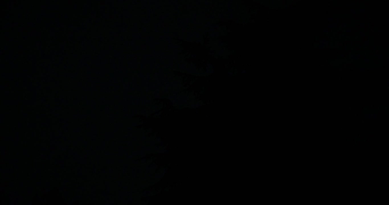 Donkere boom silhouetten staan tegen de regenachtige nachtelijke hemel tijdens een onweersbui in Bassano del Grappa, Italië - Opname vanuit een laag standpunt