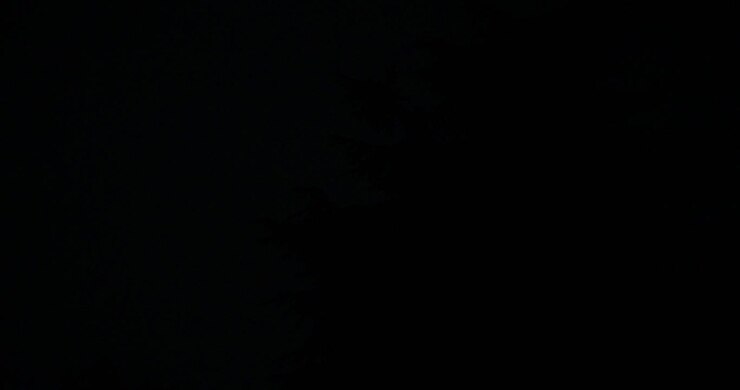 Siluetas oscuras de árboles se alzan contra el cielo nocturno lluvioso durante una tormenta eléctrica en Bassano del Grappa, Italia - Toma de ángulo bajo.