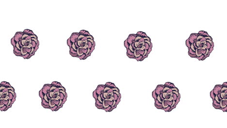 composición de filas de flores rosadas que se mueven sobre un fondo blanco