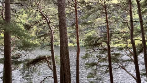 Walking-along-lake-coast-with-trees-in-the-foreground-and-lake-and-hill-in-the-background