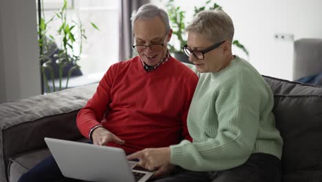 pareja madura mirando la computadora portátil, discutiendo noticias