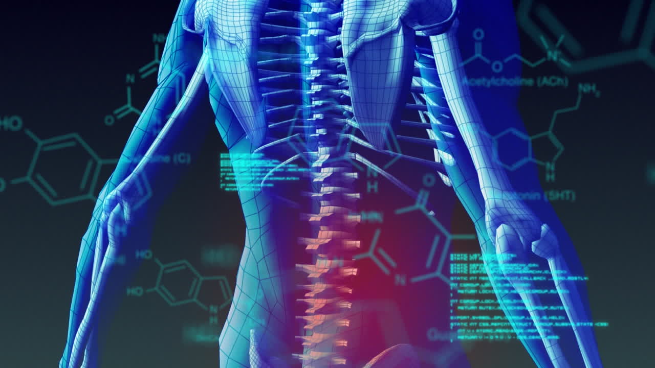 인간의 몸 위에서 과학적 데이터 처리의 애니메이션