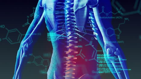 animación del procesamiento de datos científicos sobre el cuerpo humano