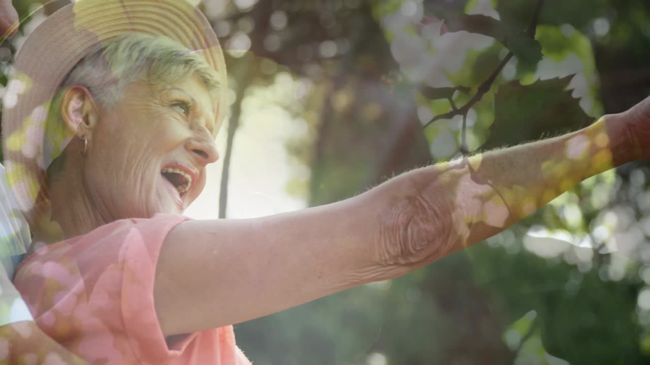 행복한 노인 부부 위에 반이는 빛의 애니메이션