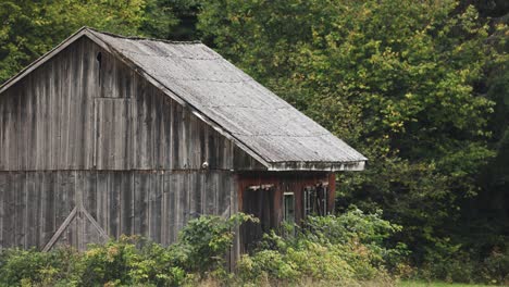 Exterior-View-Of-An-Isolated-Wooden-House-In-The-Wilderness