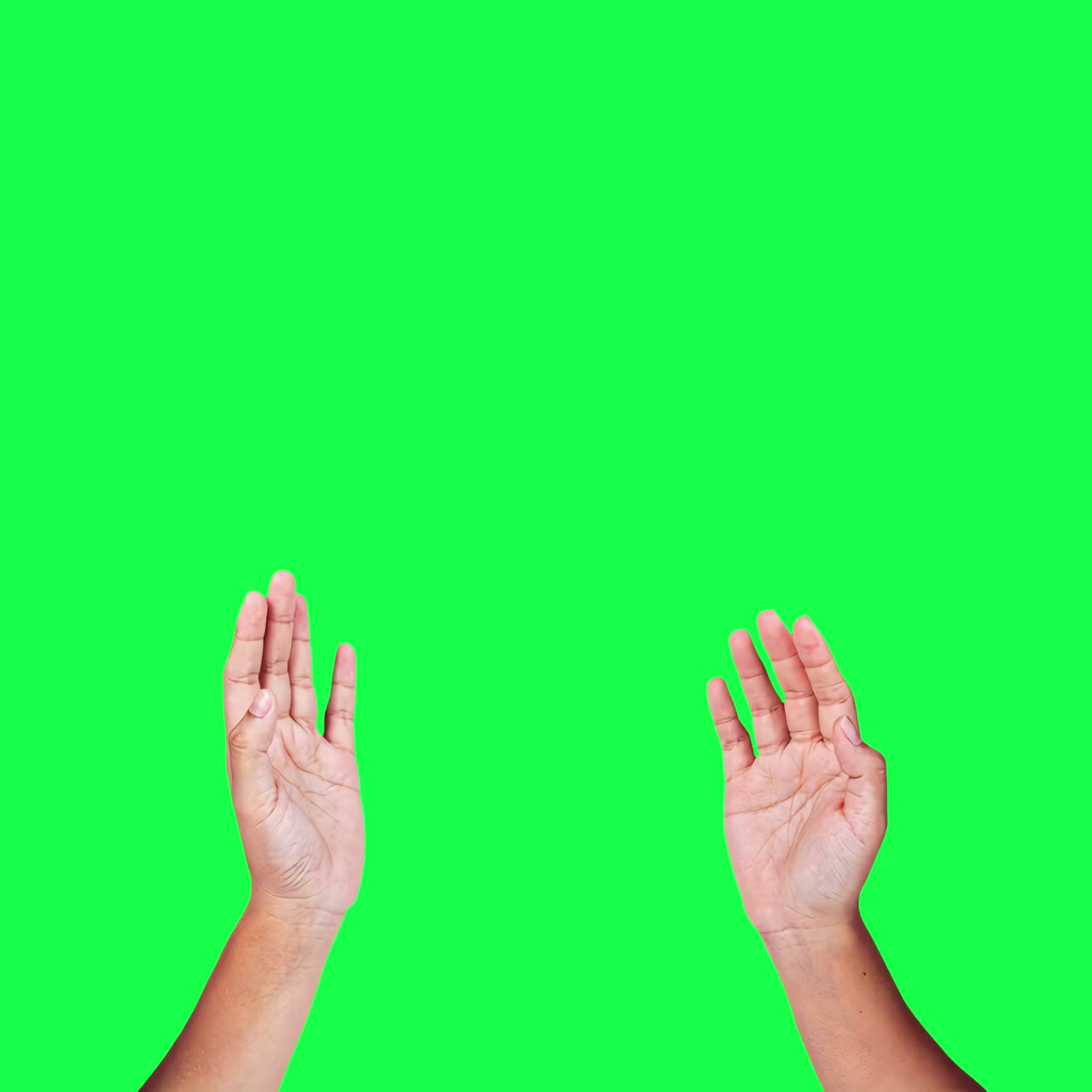 Hands raised animation, transparent 4K video, green screen