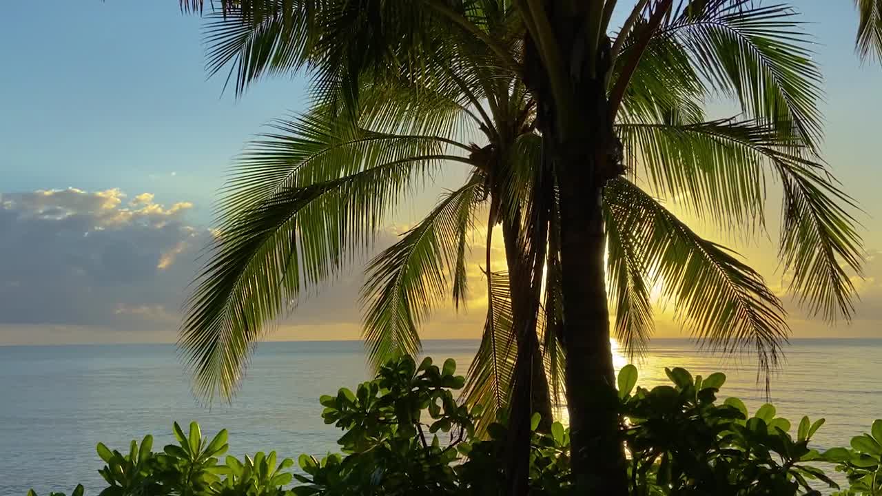 Smooth slider shot of idyllic and relaxing tropical shoreline at sunrise sunset, with gently lapping waves under a blue and gold sky with iconic palm trees in silhouette in the foreground