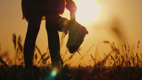 silhouette of a girl with balloons and a teddy bear it is worth the sunset farewell to childhood con