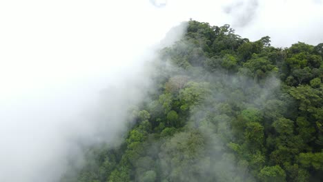 vista aérea de las nubes sobre la selva y los picos de las montañas en las tierras altas de guyana, sudamérica