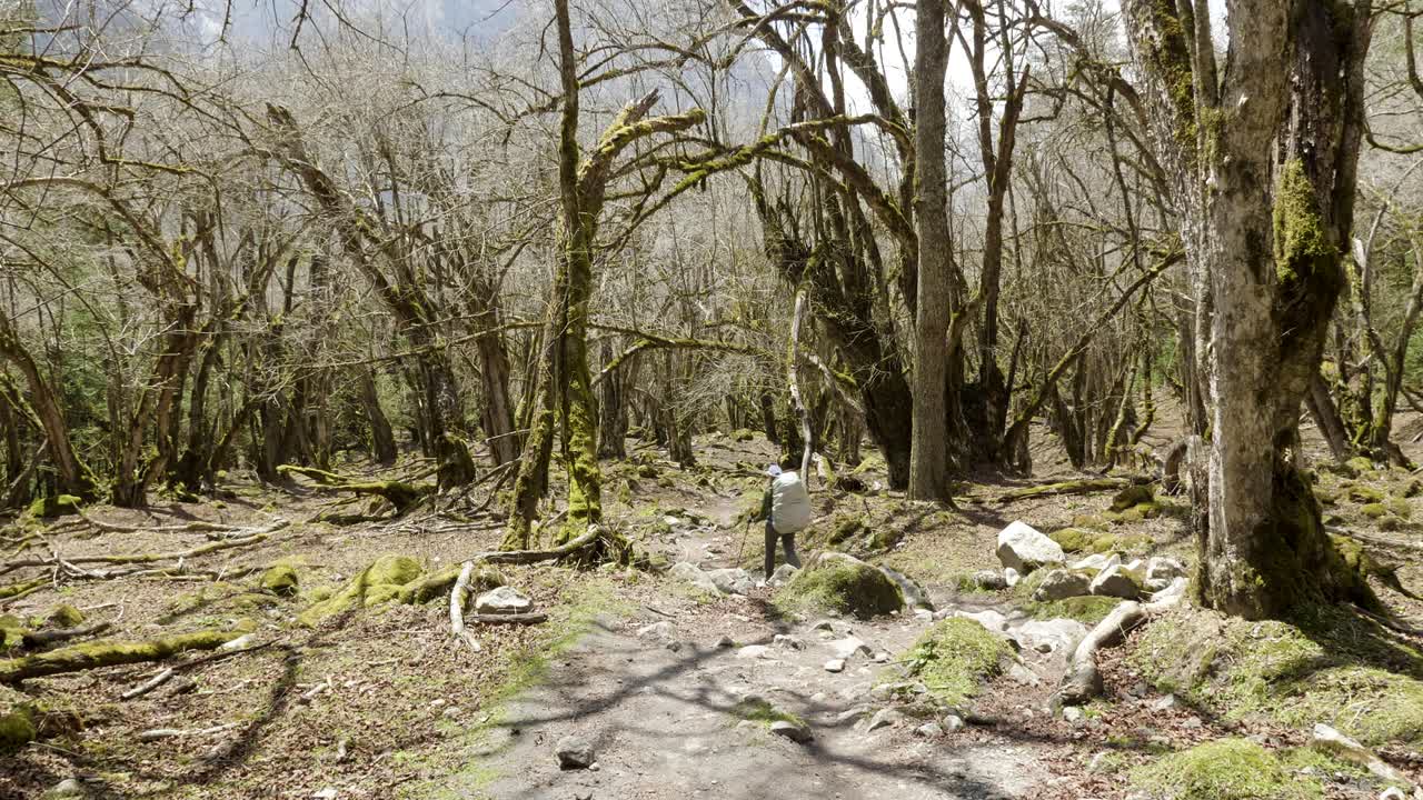 una chica caminando en un bosque misterioso entre las montañas de nepal.