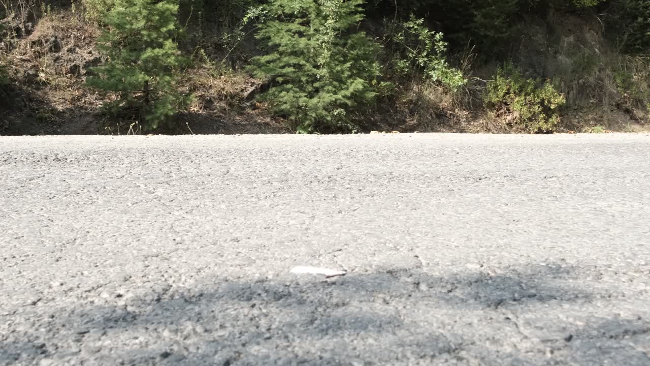 숲이 있는 고속도로 지대