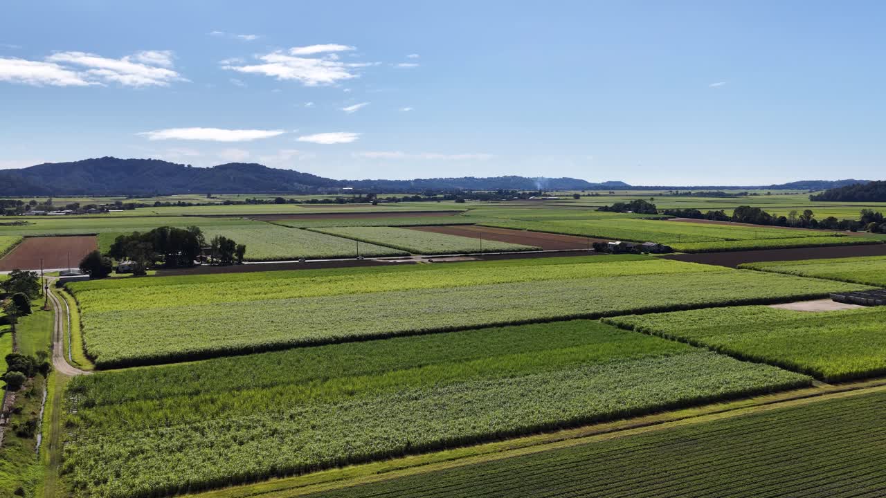 Aerial footage captures expansive green sugarcane fields under clear blue skies in Murwillumbah, showcasing the region's agricultural landscape