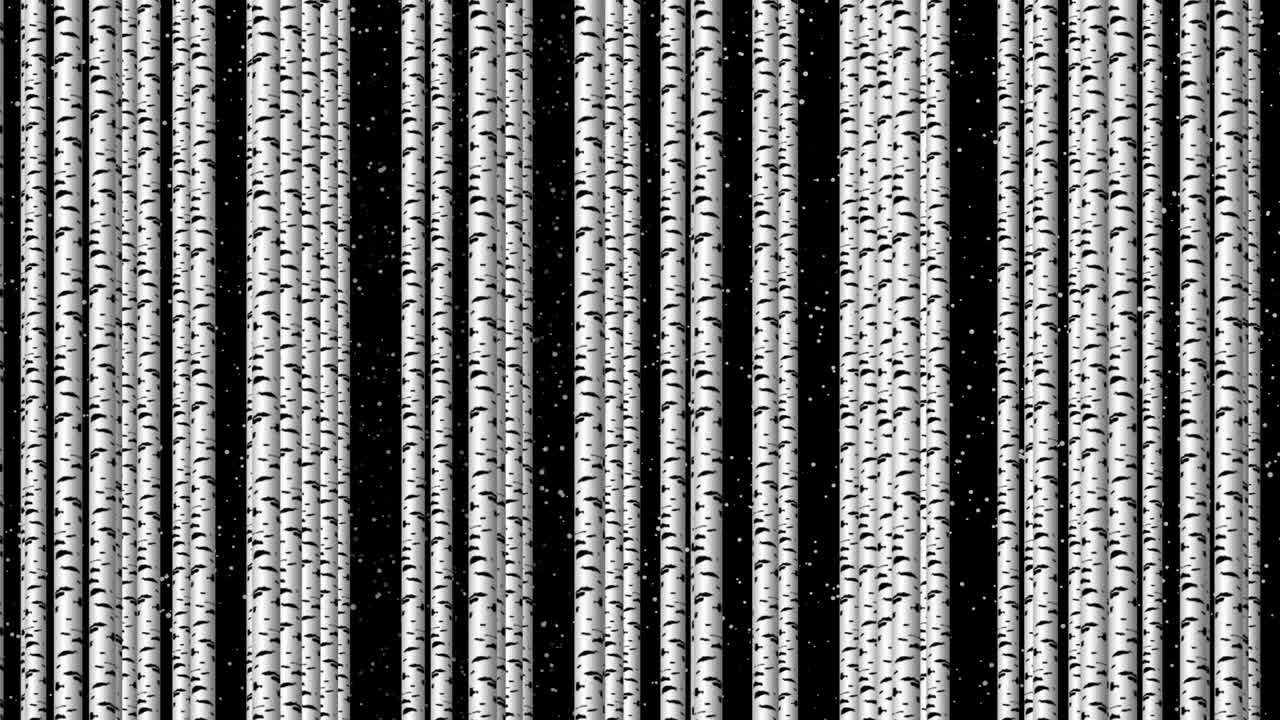troncos de abedul. los árboles se mueven lentamente de derecha a izquierda. la ilusión de un bosque de abedules.