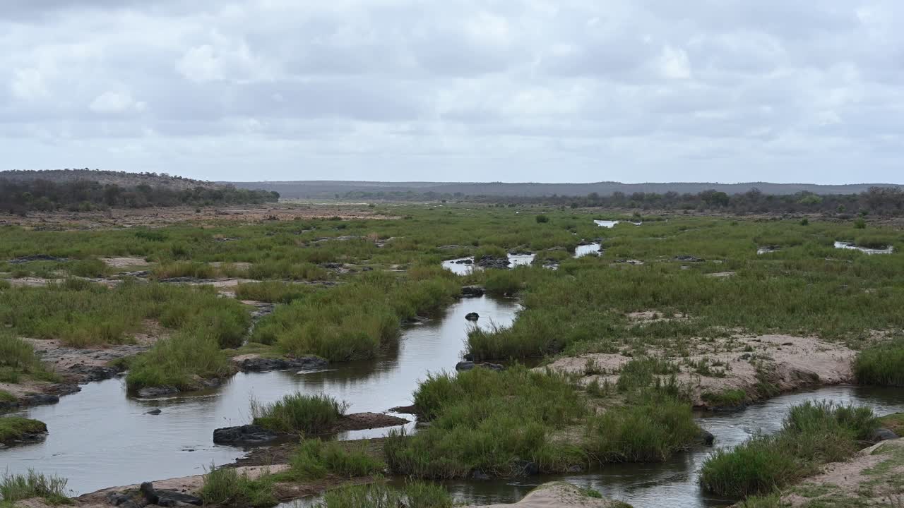 긴 다리 지역, 남아프리카 공화국에서 찍은 파노라마 크루거 국립 공원