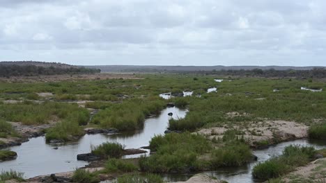 Parque-Nacional-Panorámico-Kruger-Tomado-Del-área-Del-Puente-Largo,-Sudáfrica