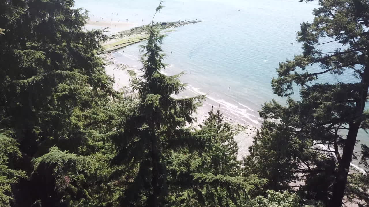 за лесом лежит пляж.