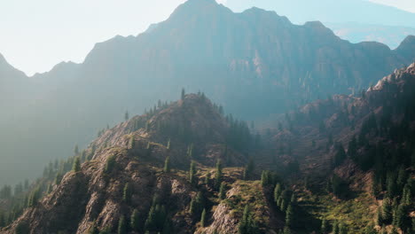 Fir-and-other-pine-trees-on-mountains-on-a-sunny-end-of-summer