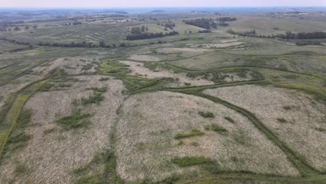 Aerial-Drone-Footage-Of-Summer-Time-High-Wind,-Storm-And-Weather-Damage-Done-To-Crops-In-A-Rural-Iowa-Farmland