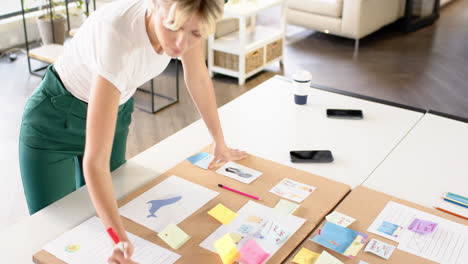 presenting ideas, woman holding pen and standing by desk with documents