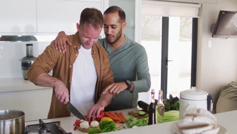 pareja multiétnica del mismo sexo preparando comida y hablando en la cocina