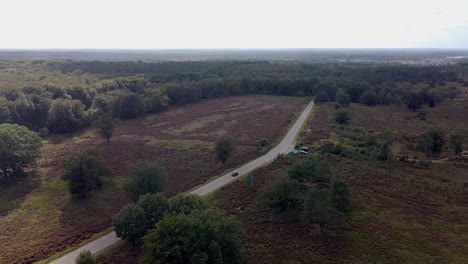 Drone-shot-of-car-driving-through-nature