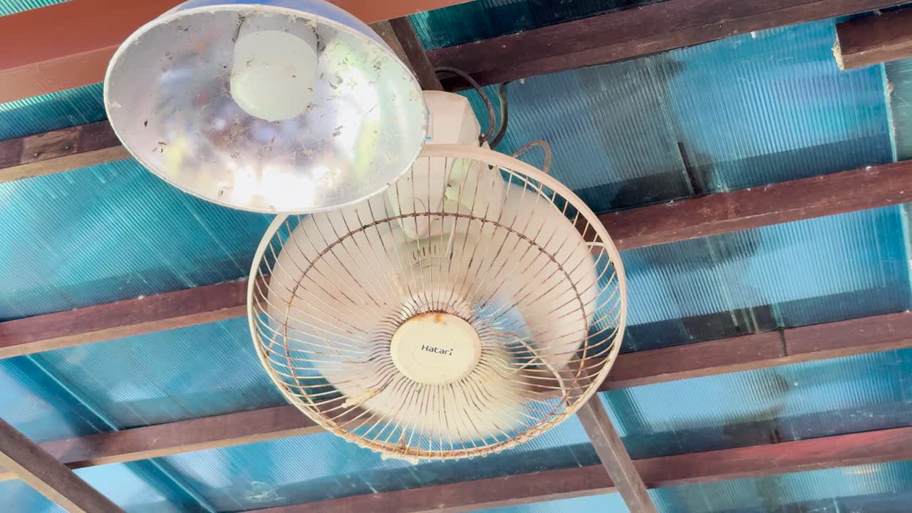 Ceiling Fan with Light Fixture