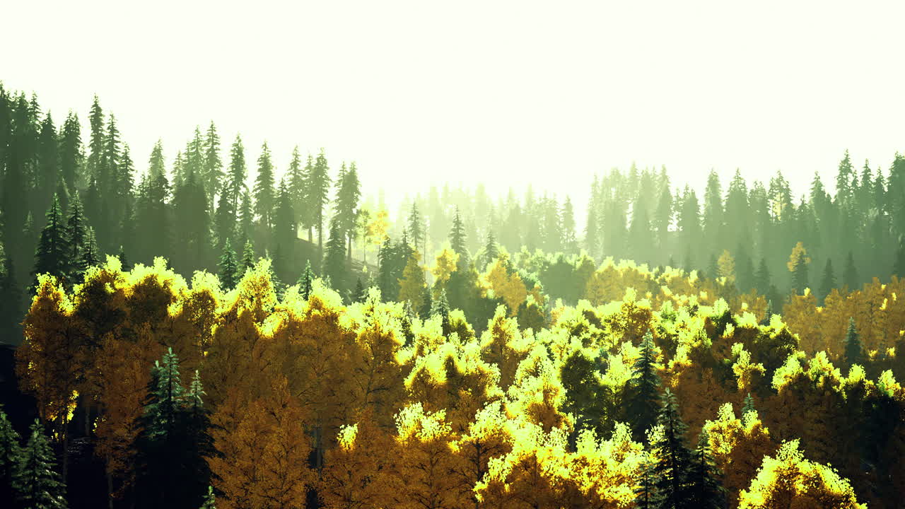 Vibrant autumn forest landscape with golden foliage and sunlight