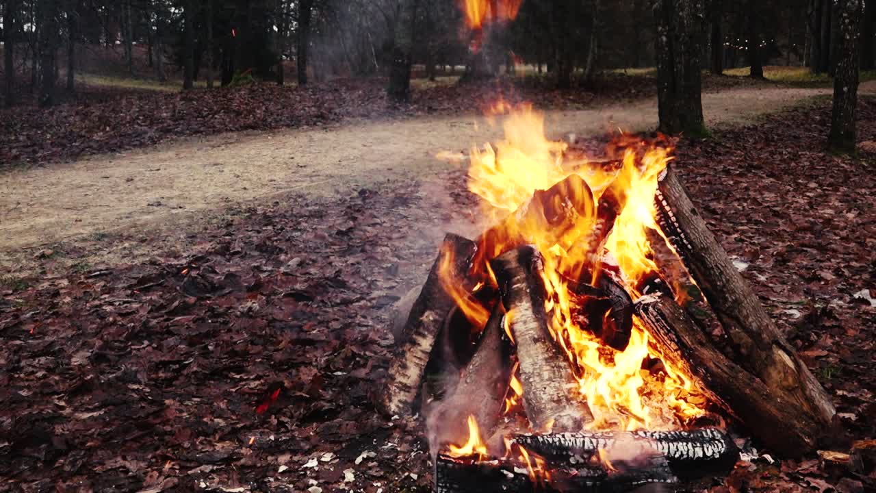 Vivaci fiamme si alzano da un falò di legno circondato da foglie cadute in un bosco durante l'autunno. Calda e rustica atmosfera da esterni
