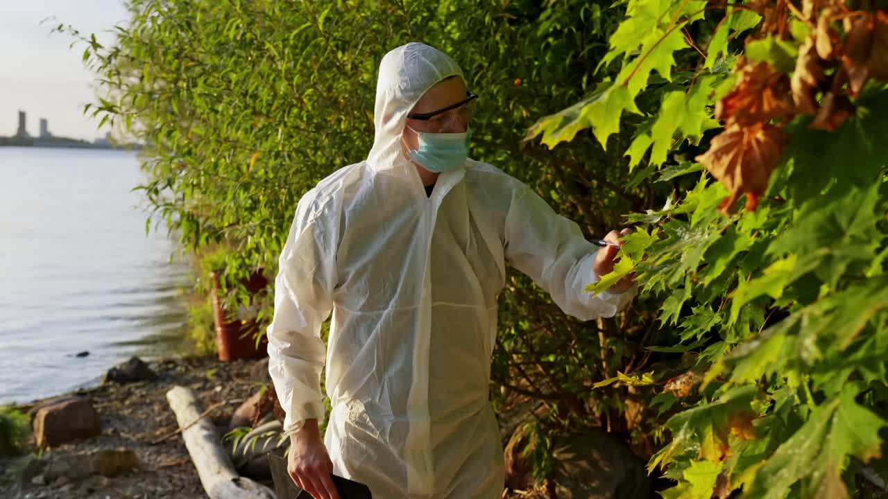 Inspector in protective gear examines shoreline vegetation, checking leaves for contamination or environmental changes near a calm waterfront during golden hour