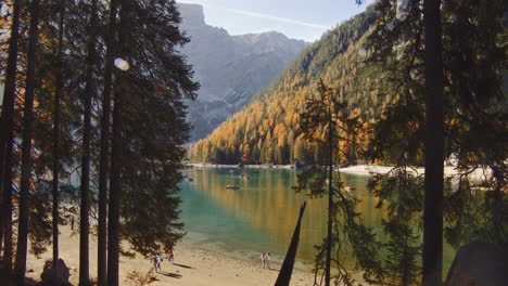 Panoramaaufnahme-Aus-Dem-Wald