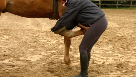 woman checking her horses hoof in paddock