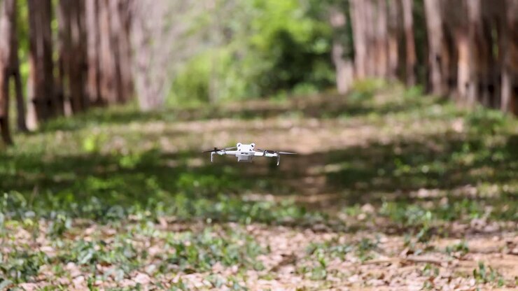 A drone navigates a serene rubber tree plantation in Phuket, Thailand, under natural daylight, capturing the tranquil forest environment