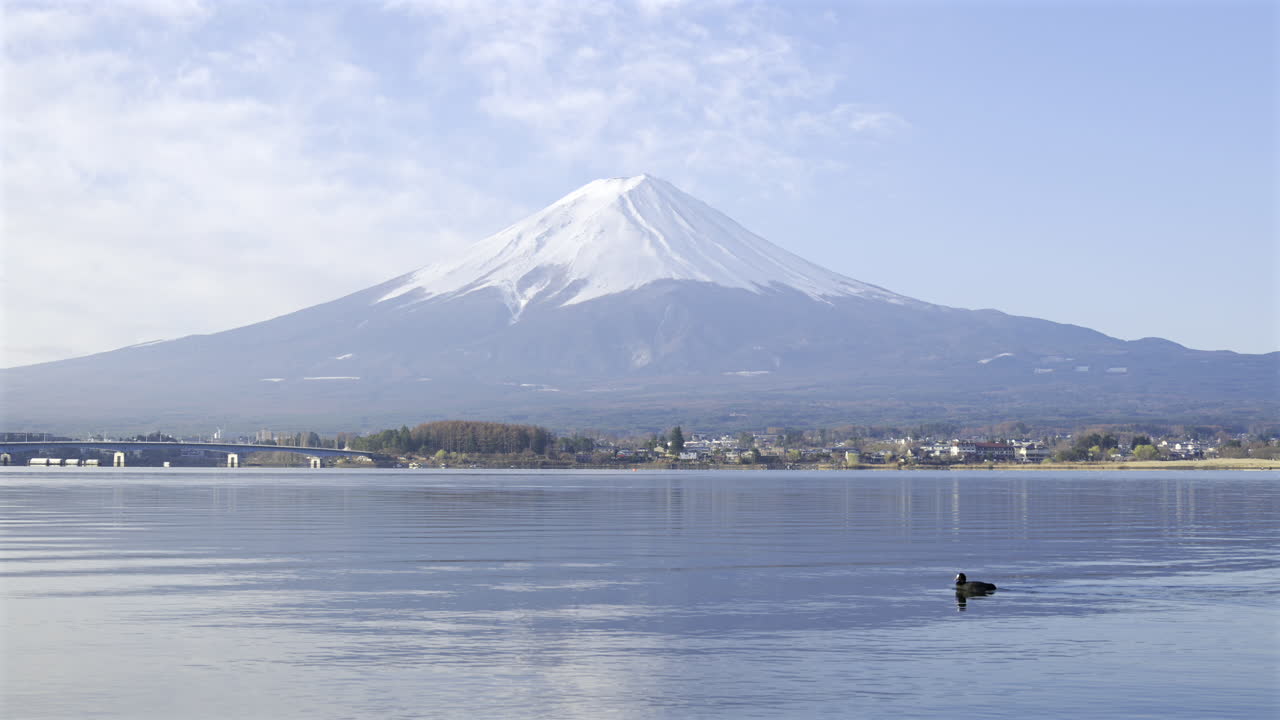 Mount Fuji reflecting in the calm Kawaguchiko Lake waters at sunrise. A duck gently glides across the water, adding to the tranquil scene