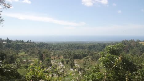 Indonesische-Landschaft-Unter-Blauem-Himmel