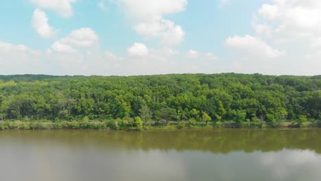 drone flight right of a tree line in thick green forest with blue sky and white clouds on summer sunny day next to lake 4k