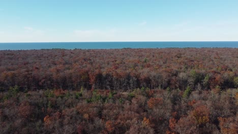 Tranquil-forest-in-vibrant-fall-colors,-vast-ocean-backdrop