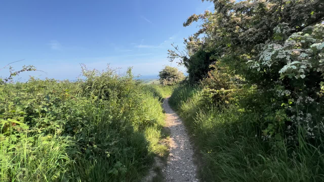 Trekking Trail Pathway Blue Sky