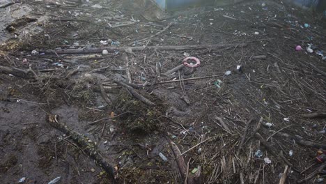 close-up of rubbish in a european city river