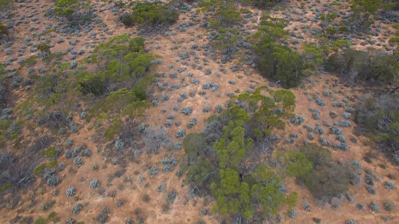 호주 아웃백 풍경을 통해 천천히 움직이는 낮은 공중