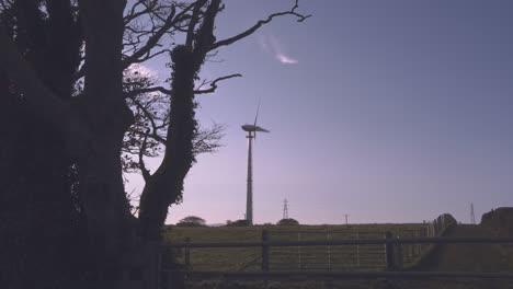 Windkraftanlage-Hinter-Den-Bäumen-Bei-Sonnenuntergang