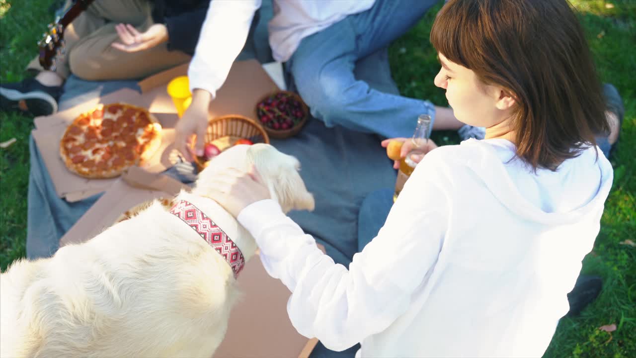 친구 들 이 개 와 함께 공원 에서 피크닉 을 즐기고 있다