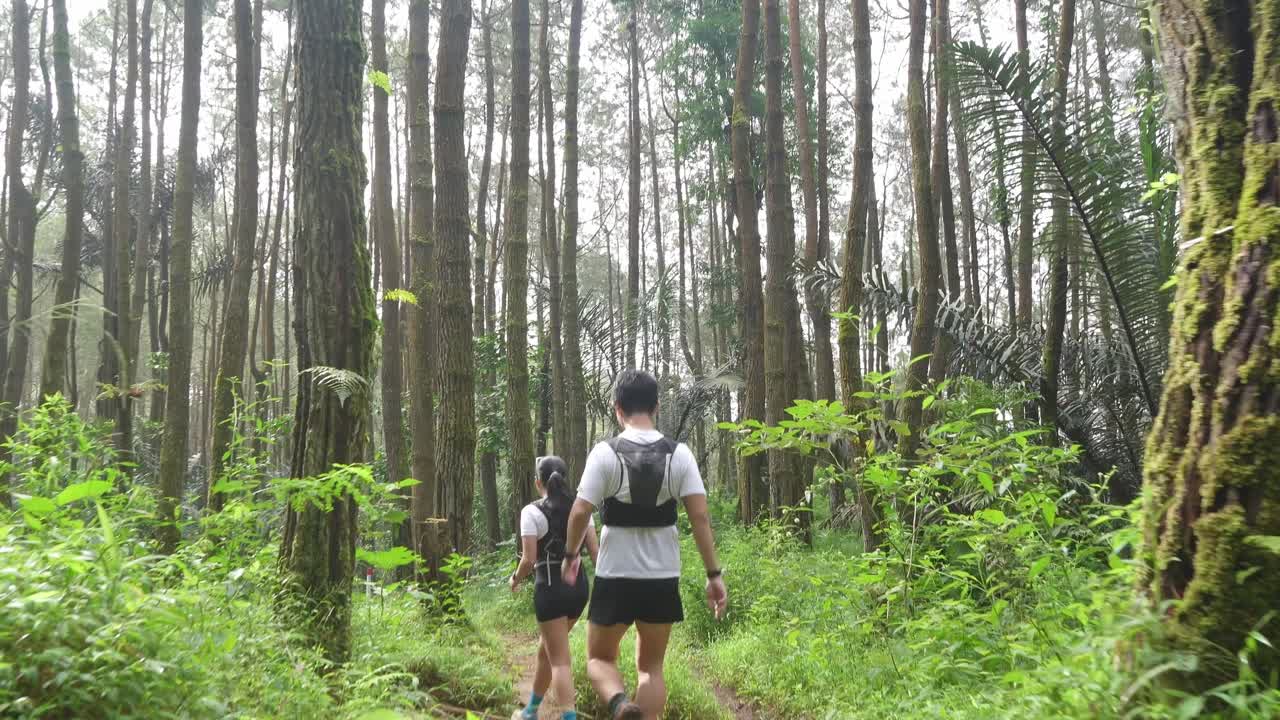 Couple Hiking in a Pine Forest