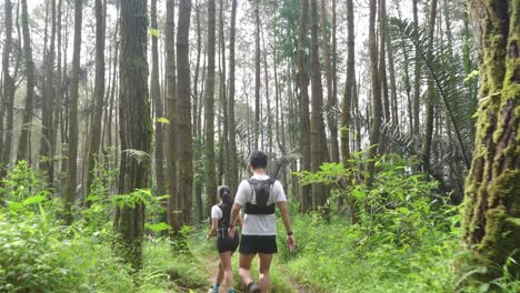 couple hiking in a pine forest