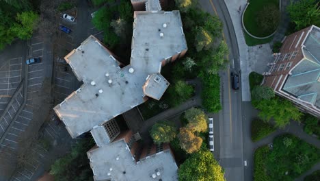 Top-down-shot-of-a-black-car-driving-through-the-beautiful-and-tree-filled-University-of-Washington