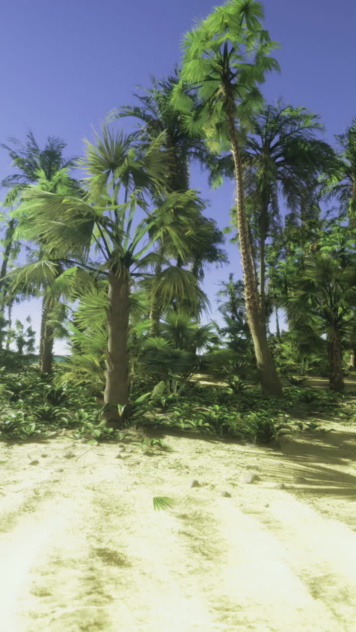 Sunny beach with palm trees and clear blue sky in tropical paradise setting