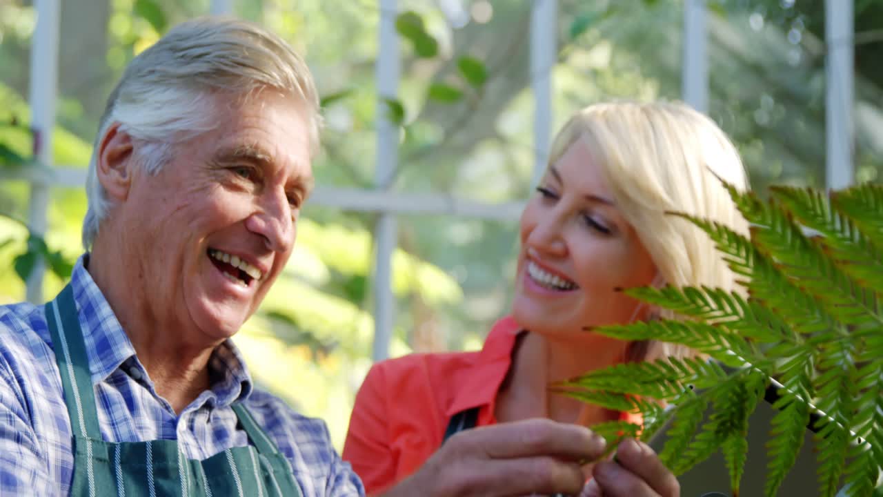 성숙한 커플 검사 식물