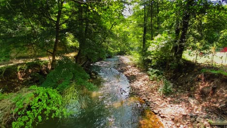 Hermoso-Río-En-Bosque-Verde-Ninguna-Persona-Agua-Clara