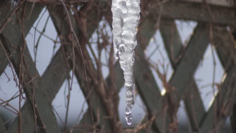 drops of water falling on the piece of ice hanging on the wooden fence