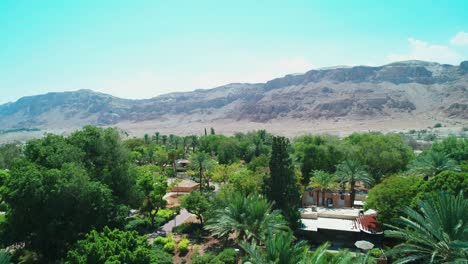 Drone-shot-of-a-green-settlement-in-the-desert